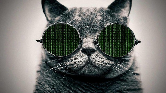 为什么感觉wps的用户越来越多，office没人用了?